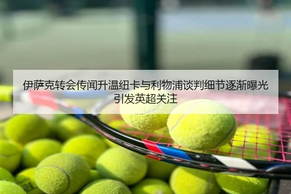 伊萨克转会传闻升温纽卡与利物浦谈判细节逐渐曝光引发英超关注